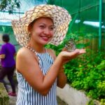 Bohol butterfly sanctuary