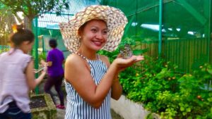 Bohol butterfly sanctuary